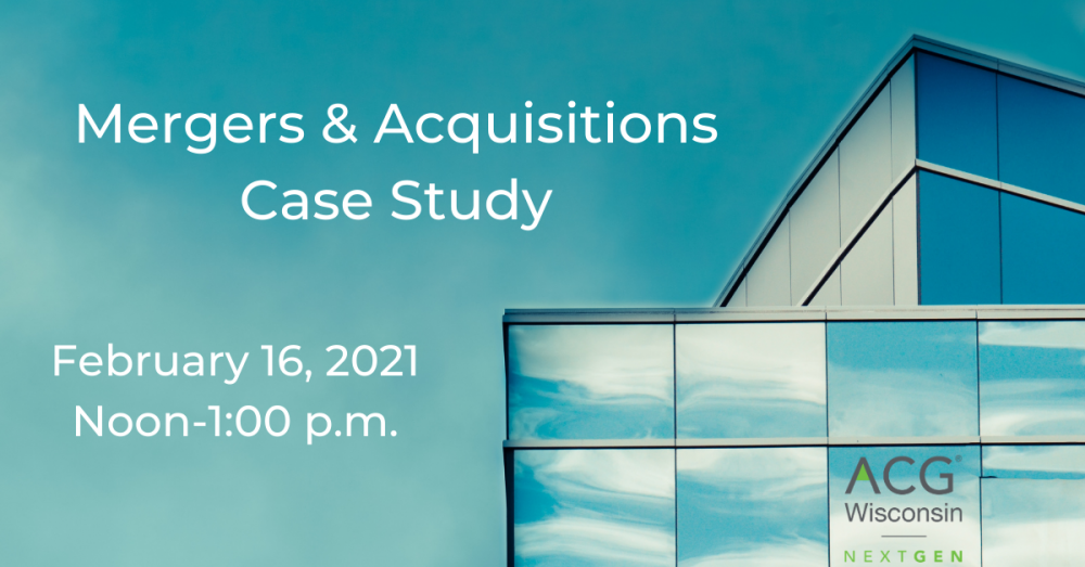 m&a case study consulting